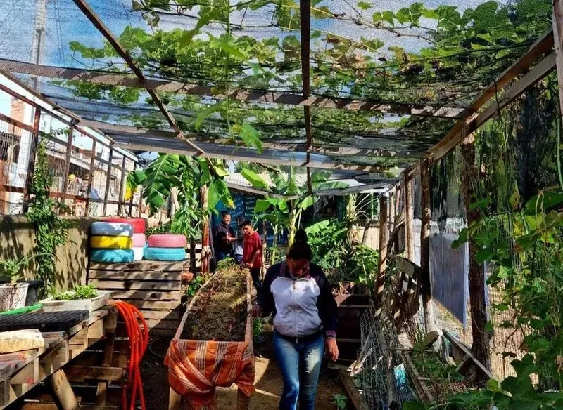Horta Comunitária/Periferia Feminista do Morro da Cruz recebe Prêmio Periferia Viva
